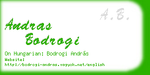 andras bodrogi business card